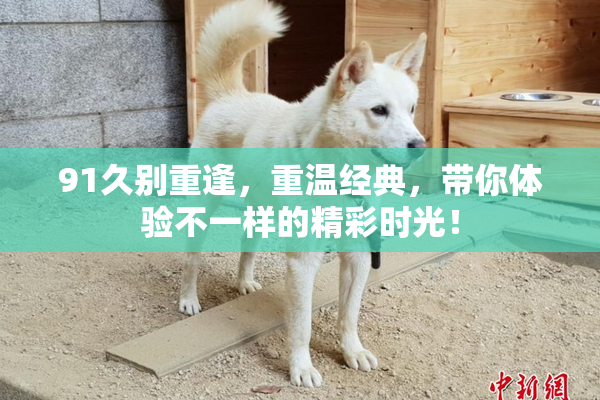 91久别重逢，重温经典，带你体验不一样的精彩时光！