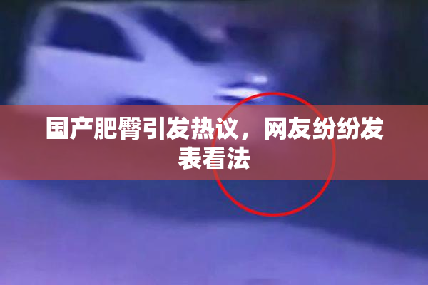 国产肥臀引发热议，网友纷纷发表看法