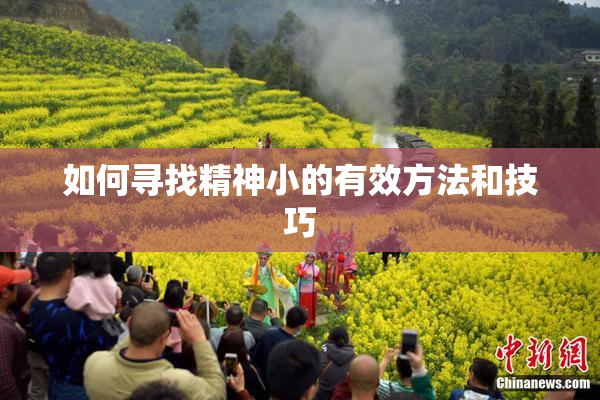 如何寻找精神小的有效方法和技巧