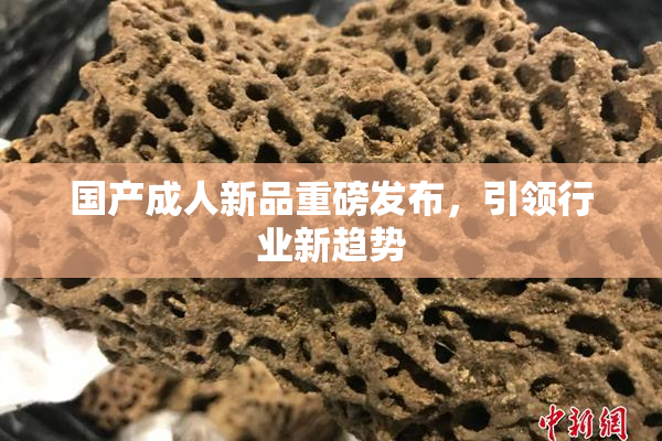 国产成人新品重磅发布，引领行业新趋势