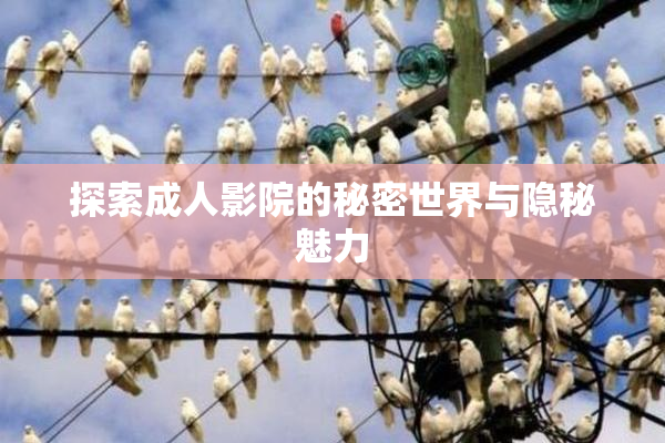 探索成人影院的秘密世界与隐秘魅力