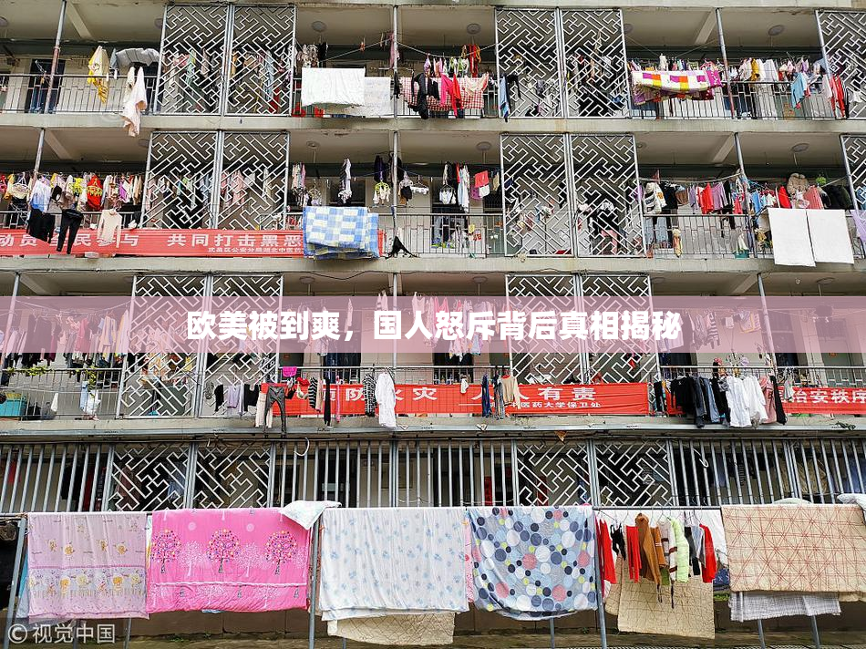 欧美被到爽，国人怒斥背后真相揭秘