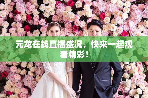 元龙在线直播盛况，快来一起观看精彩！