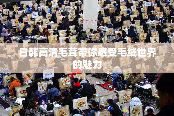日韩高清毛茸带你感受毛绒世界的魅力