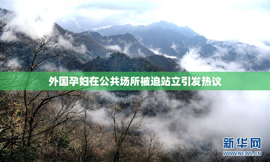 外国孕妇在公共场所被迫站立引发热议