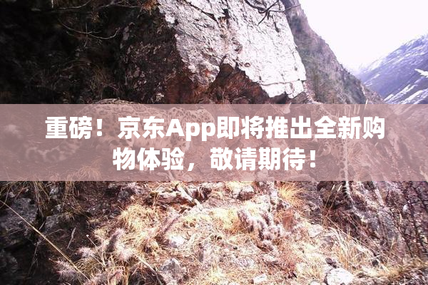 重磅！京东App即将推出全新购物体验，敬请期待！