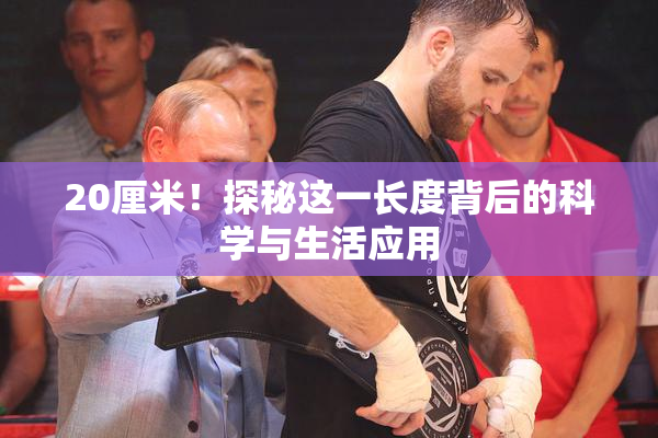 20厘米！探秘这一长度背后的科学与生活应用
