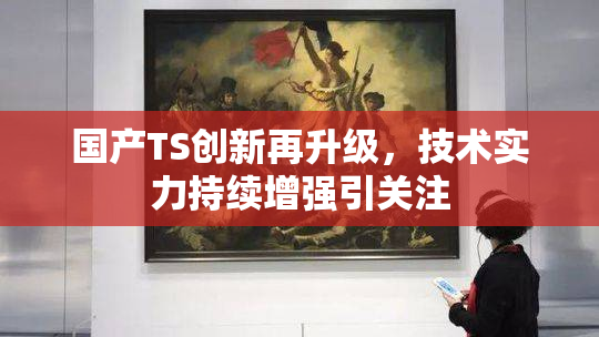 国产TS创新再升级，技术实力持续增强引关注