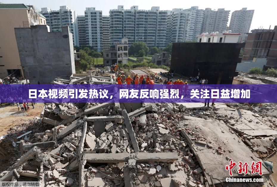 日本视频引发热议，网友反响强烈，关注日益增加