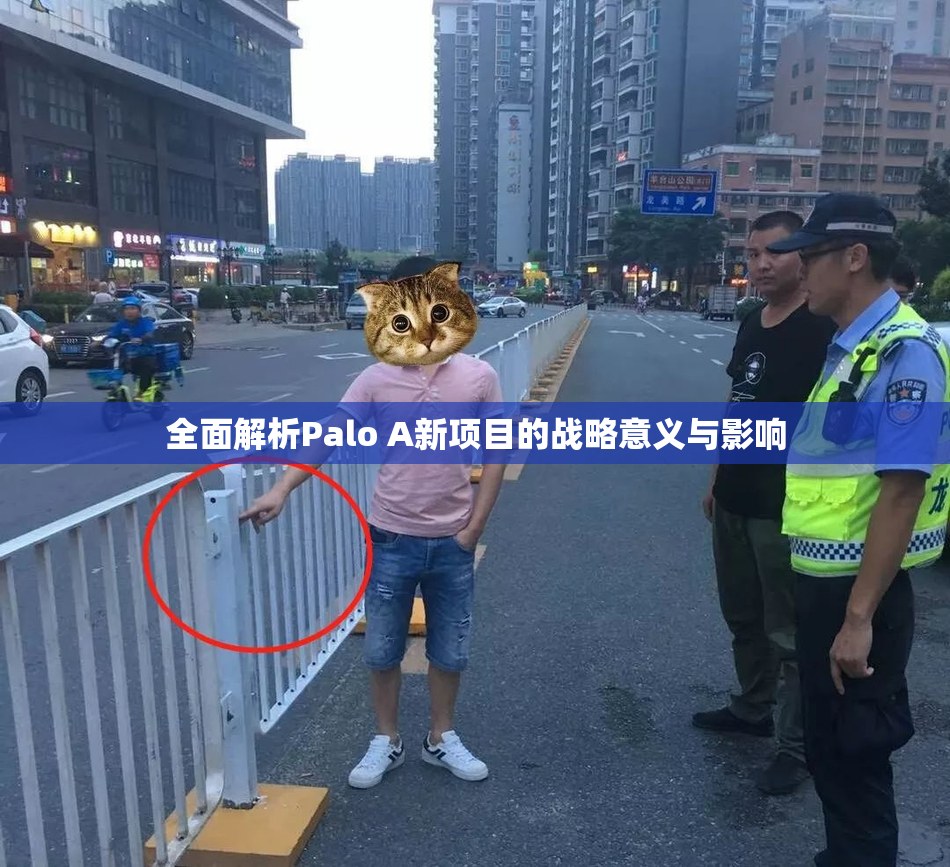 全面解析Palo A新项目的战略意义与影响