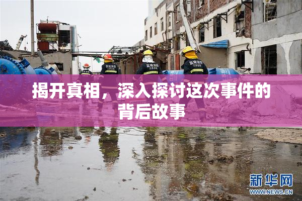 揭开真相，深入探讨这次事件的背后故事
