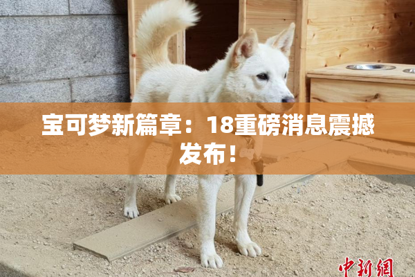 宝可梦新篇章：18重磅消息震撼发布！