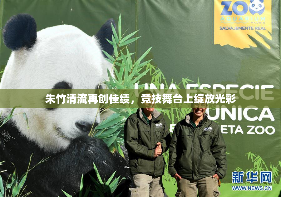 朱竹清流再创佳绩，竞技舞台上绽放光彩