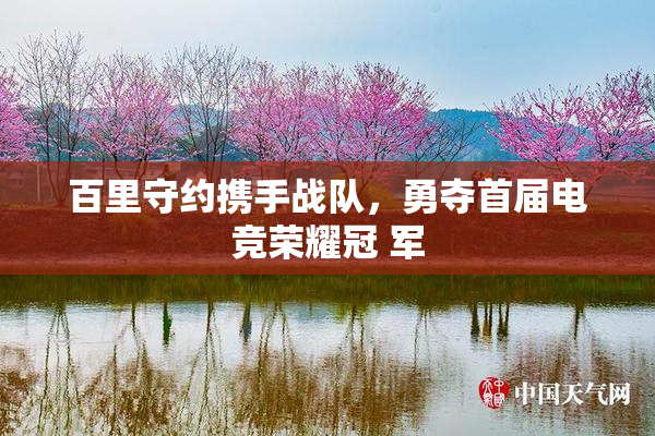 百里守约携手战队，勇夺首届电竞荣耀冠 军