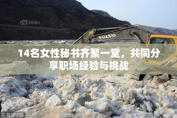 14名女性秘书齐聚一堂，共同分享职场经验与挑战