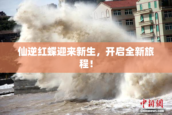 仙逆红蝶迎来新生，开启全新旅程！