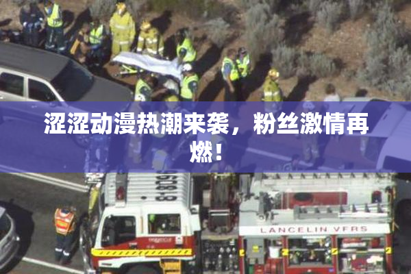 涩涩动漫热潮来袭，粉丝激情再燃！