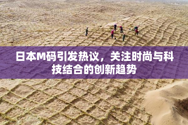 日本M码引发热议，关注时尚与科技结合的创新趋势
