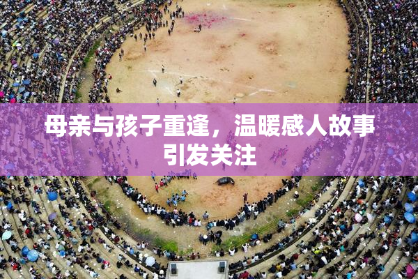 母亲与孩子重逢，温暖感人故事引发关注