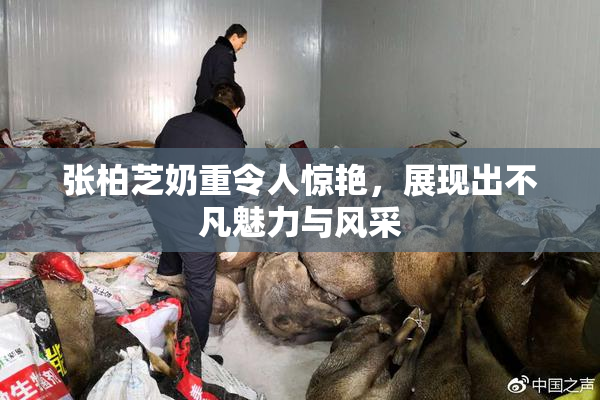 张柏芝奶重令人惊艳，展现出不凡魅力与风采