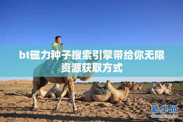bt磁力种子搜索引擎带给你无限资源获取方式