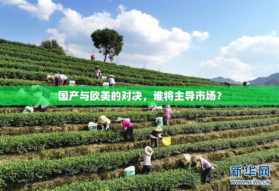 国产与欧美的对决，谁将主导市场？