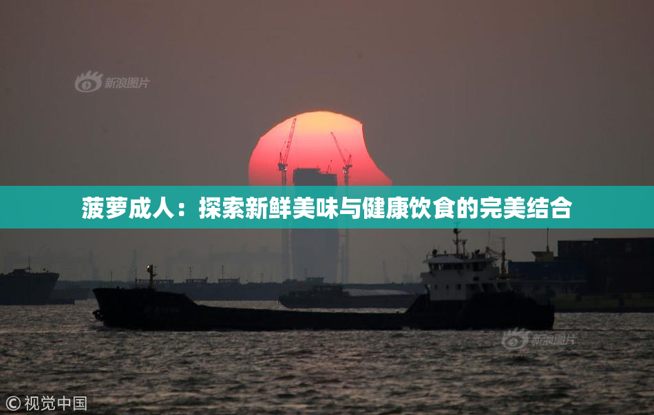 菠萝成人：探索新鲜美味与健康饮食的完美结合