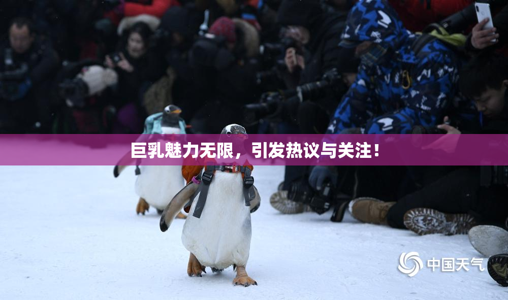 巨乳魅力无限，引发热议与关注！
