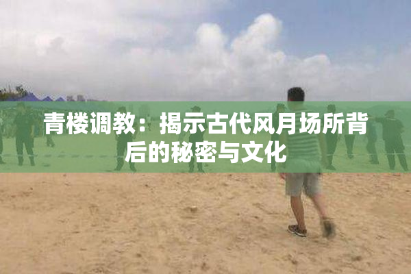 青楼调教：揭示古代风月场所背后的秘密与文化