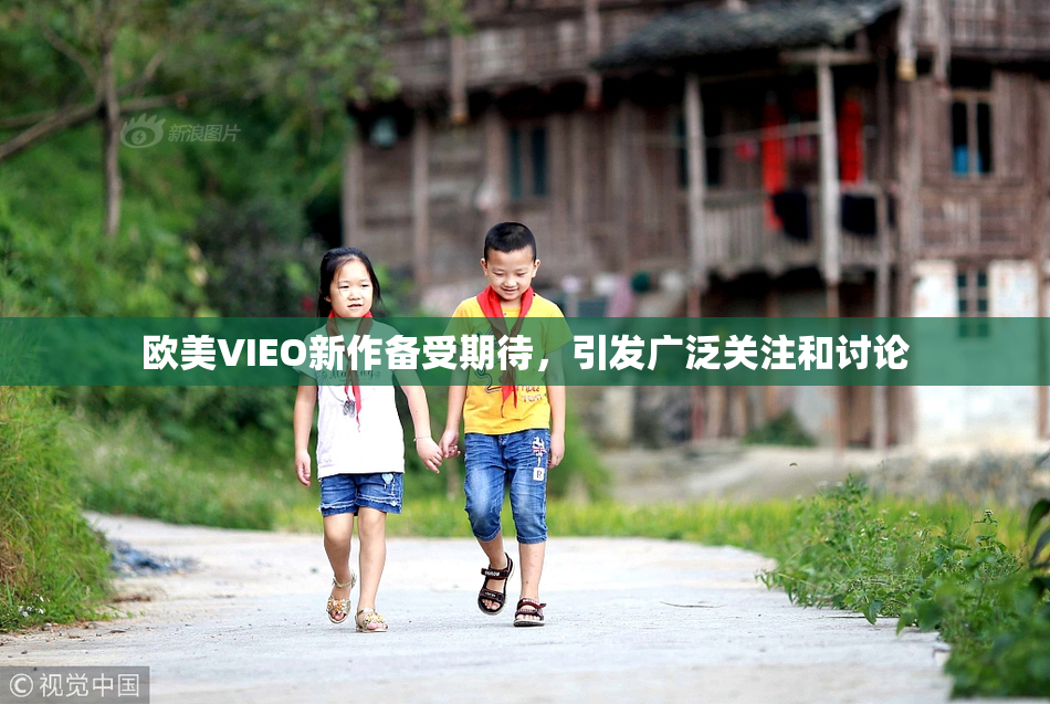 欧美VIEO新作备受期待，引发广泛关注和讨论