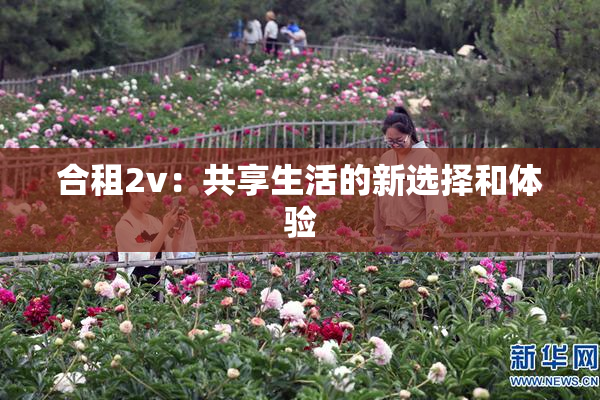 合租2v：共享生活的新选择和体验