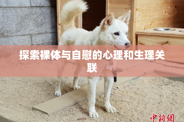 探索裸体与自慰的心理和生理关联