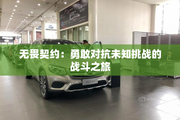 无畏契约：勇敢对抗未知挑战的战斗之旅