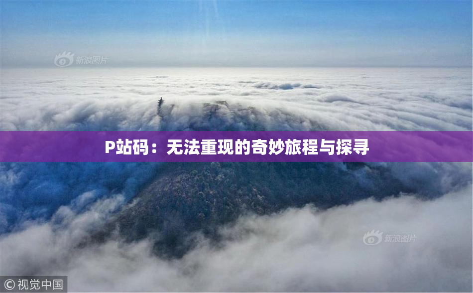 P站码：无法重现的奇妙旅程与探寻