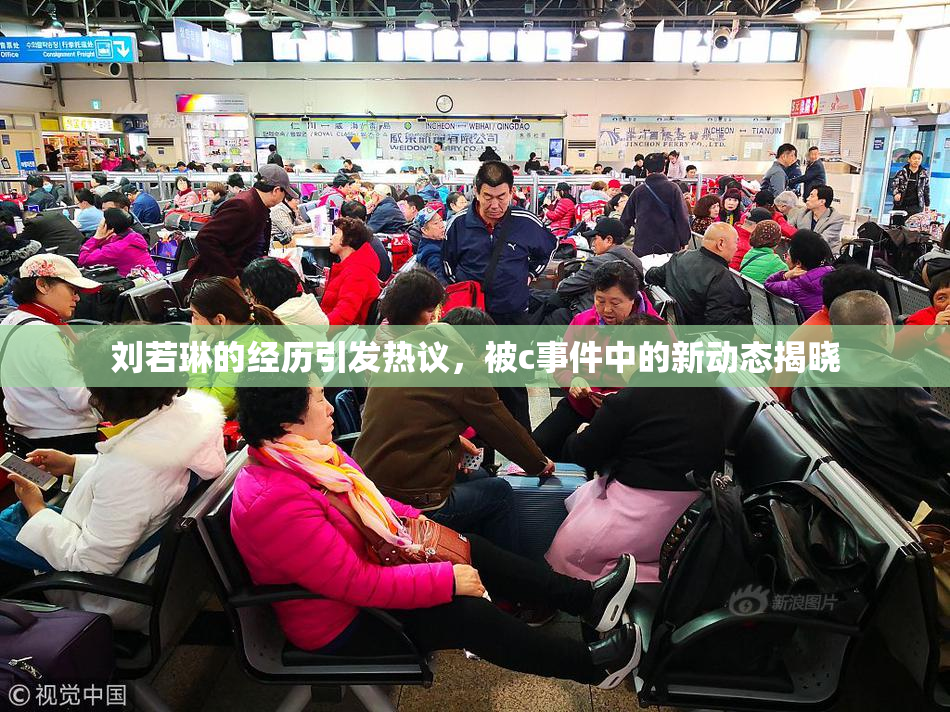 刘若琳的经历引发热议，被c事件中的新动态揭晓