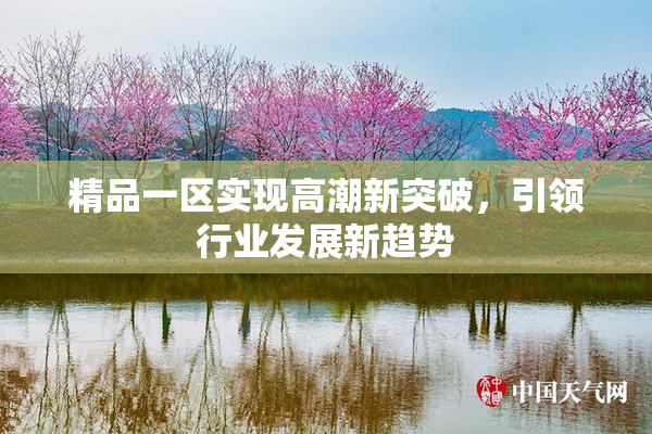精品一区实现高潮新突破，引领行业发展新趋势