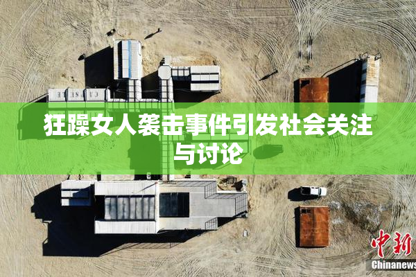 狂躁女人袭击事件引发社会关注与讨论