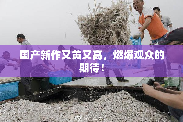 国产新作又黄又高，燃爆观众的期待！