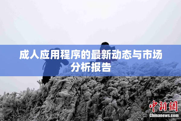 成人应用程序的最新动态与市场分析报告