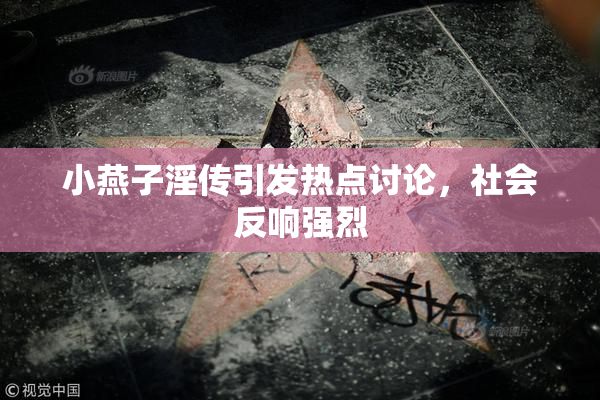 小燕子淫传引发热点讨论，社会反响强烈