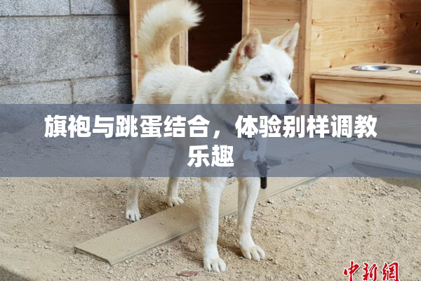 旗袍与跳蛋结合，体验别样调教乐趣