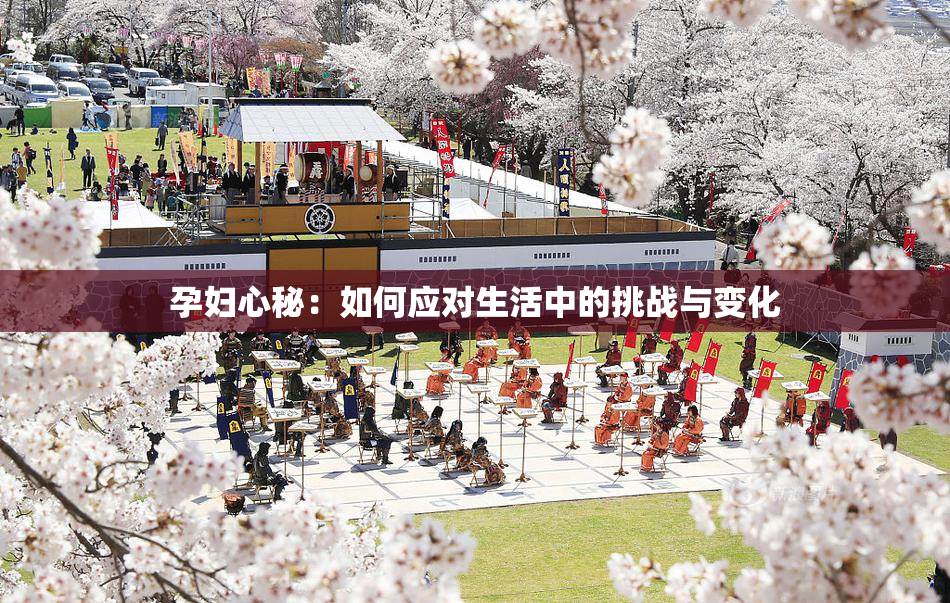 孕妇心秘：如何应对生活中的挑战与变化