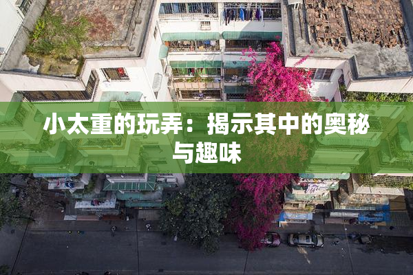 小太重的玩弄：揭示其中的奥秘与趣味