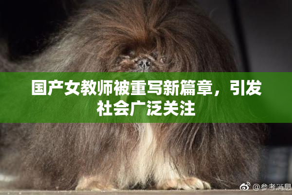 国产女教师被重写新篇章，引发社会广泛关注