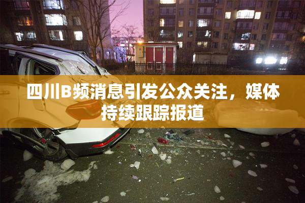 四川B频消息引发公众关注，媒体持续跟踪报道