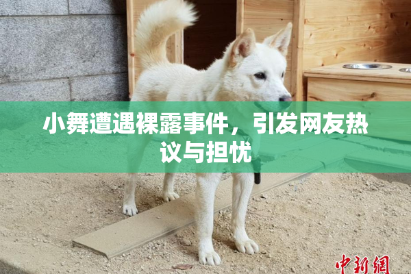 小舞遭遇裸露事件，引发网友热议与担忧