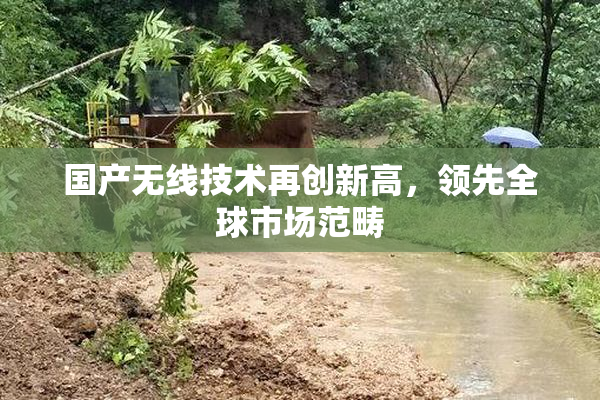 国产无线技术再创新高，领先全球市场范畴