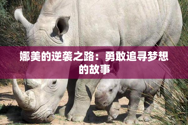 娜美的逆袭之路：勇敢追寻梦想的故事