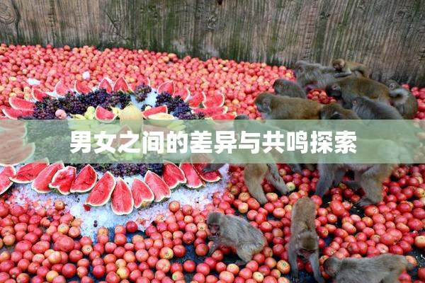 男女之间的差异与共鸣探索
