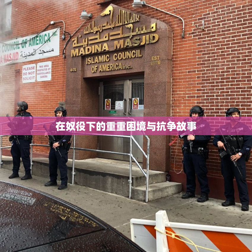 在奴役下的重重困境与抗争故事